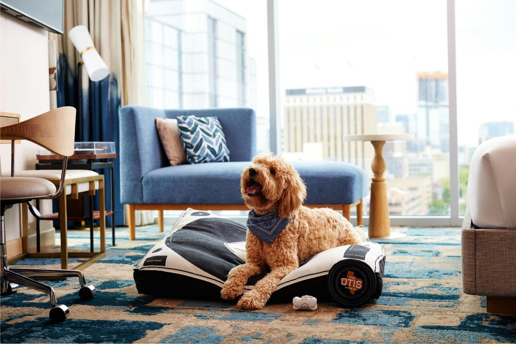 The Otis Hotel Austin, Autograph Collection Ngoại thất bức ảnh